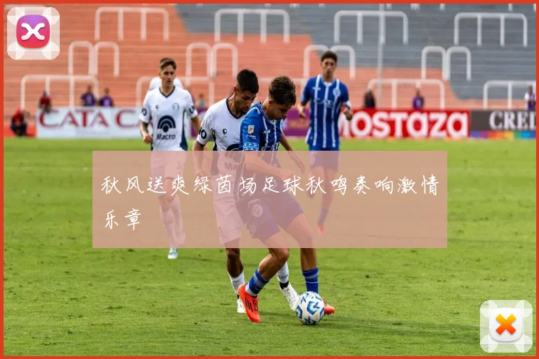 秋风送爽绿茵场足球秋鸣奏响激情乐章