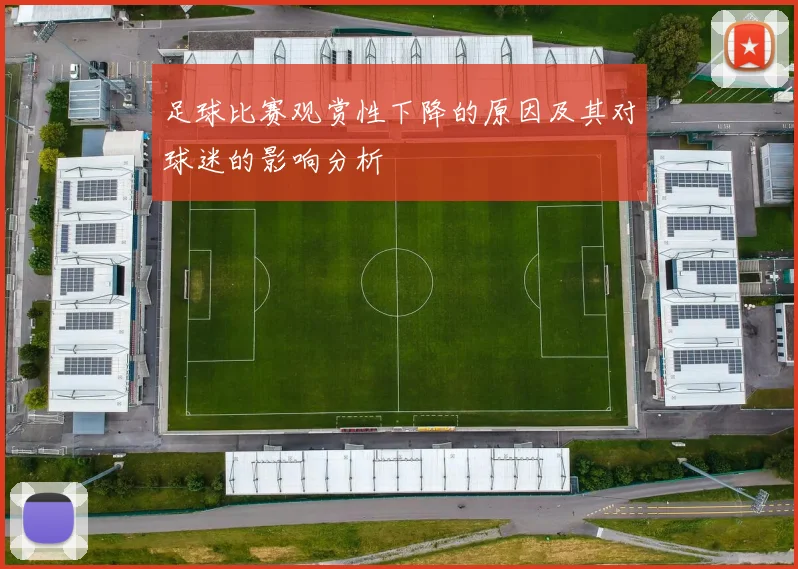 足球比赛观赏性下降的原因及其对球迷的影响分析