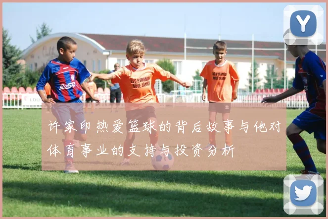 许家印热爱篮球的背后故事与他对体育事业的支持与投资分析