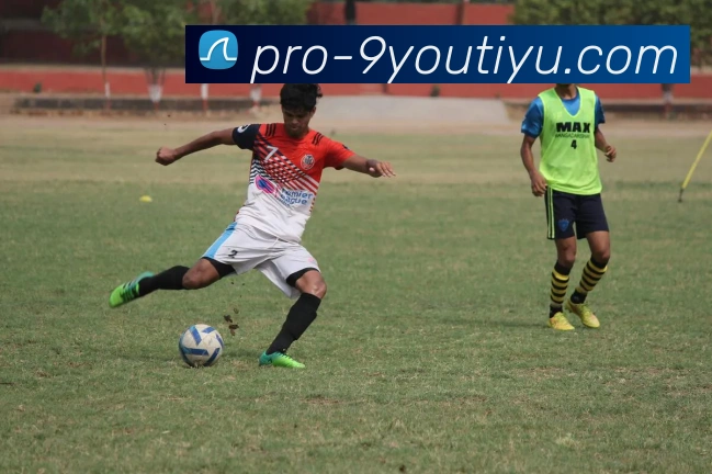 九游体育入口平台生态图